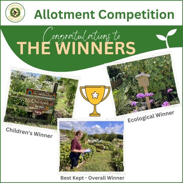 poster with pictures of the three winning allotments